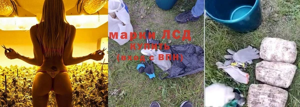 ALPHA PVP Бородино