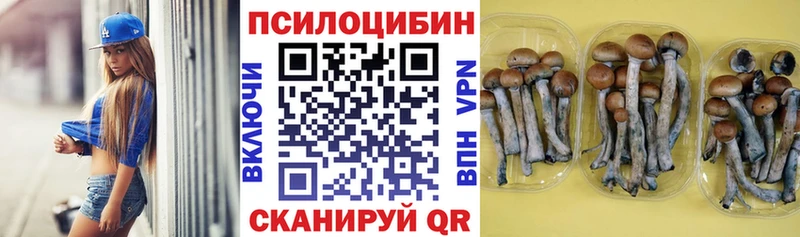 ссылка на мегу зеркало  Кола  Псилоцибиновые грибы мухоморы 