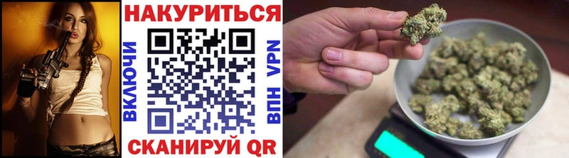 сколько стоит  Кола  Каннабис семена 